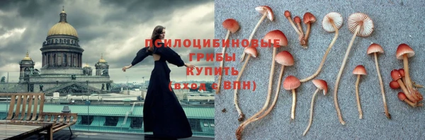 меф Медногорск