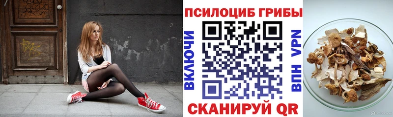 купить закладку  Цоци-Юрт  Галлюциногенные грибы Psilocybine cubensis 